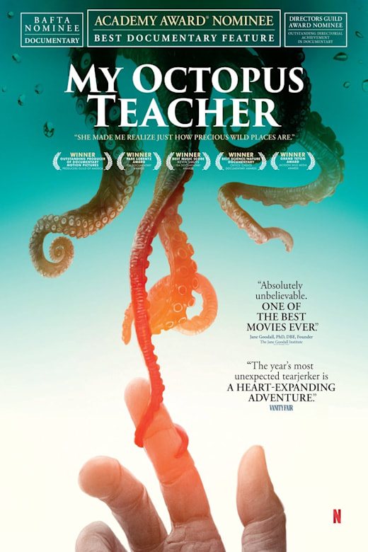 My Octopus Teacher poster