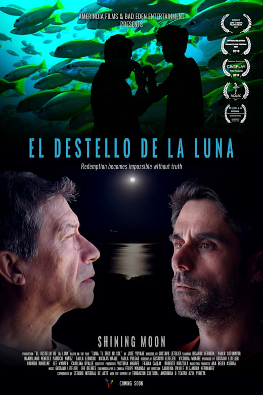 Shining Moon (El destello de la luna) Poster