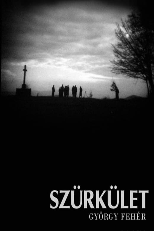 Twilight (Szurkulet) Poster