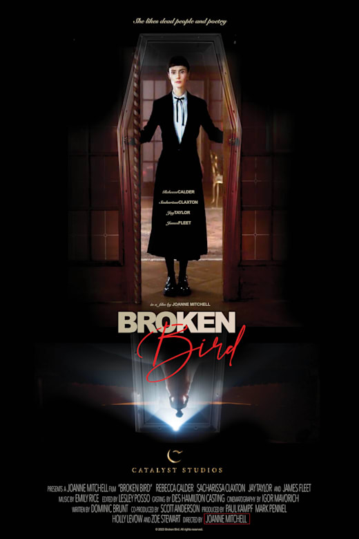 Broken Bird poster