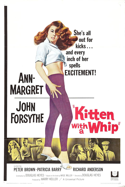 Kitten With a Whip (1964) Poster