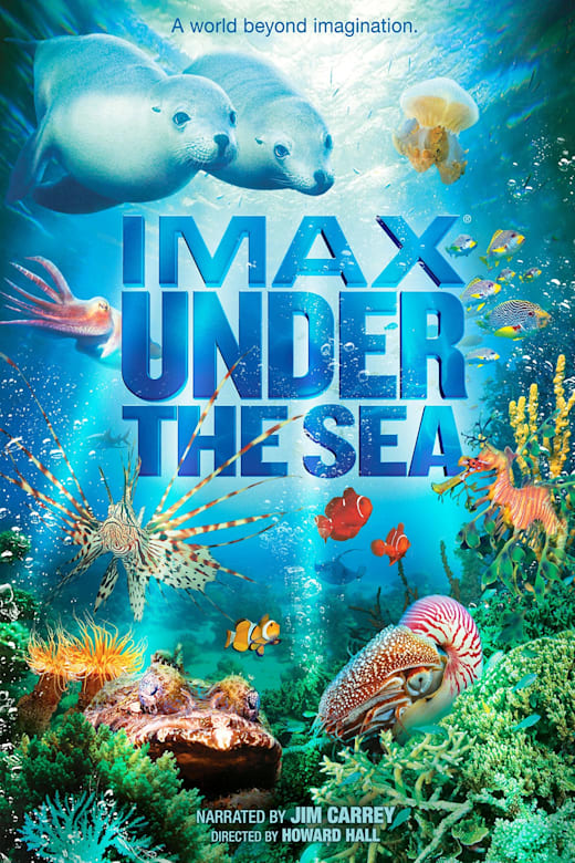 Under the Sea Poster