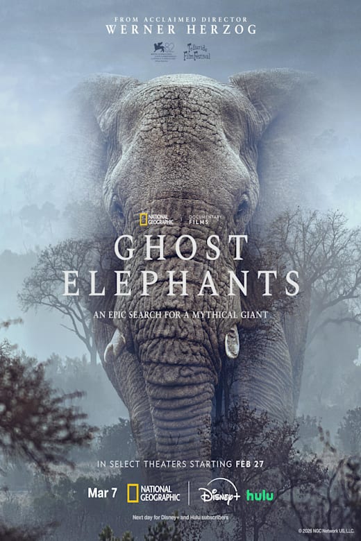 Ghost Elephants Poster
