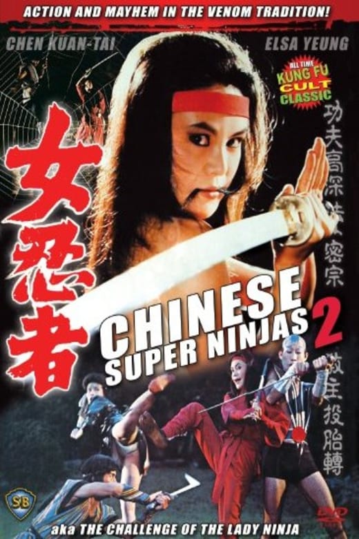 The Challenge of the Lady Ninja Poster