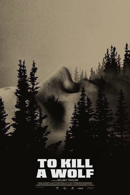 To Kill a Wolf Poster