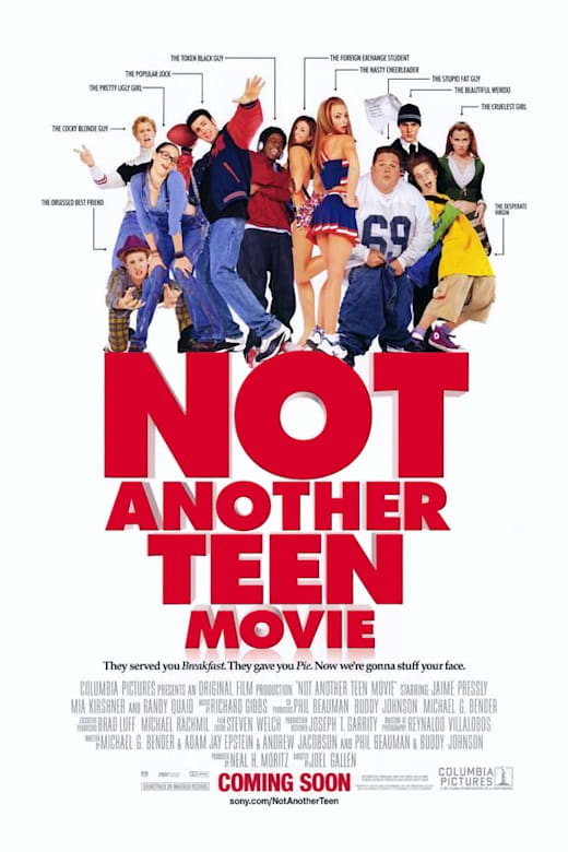 Not Another Teen Movie Poster