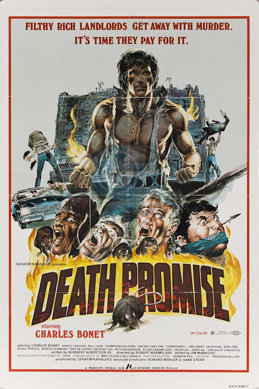 Death Promise poster