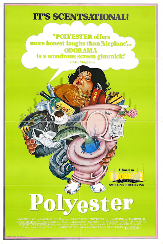 Polyester (1981) poster