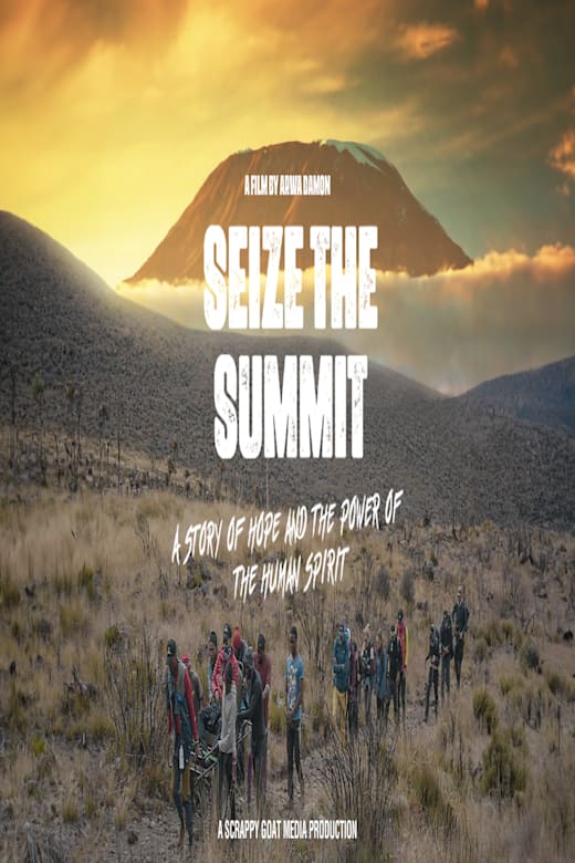 Seize the Summit poster