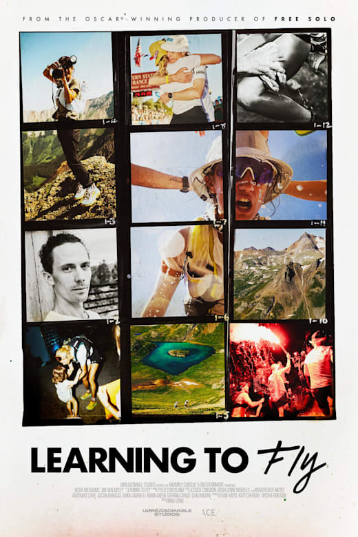 Learning to Fly Poster