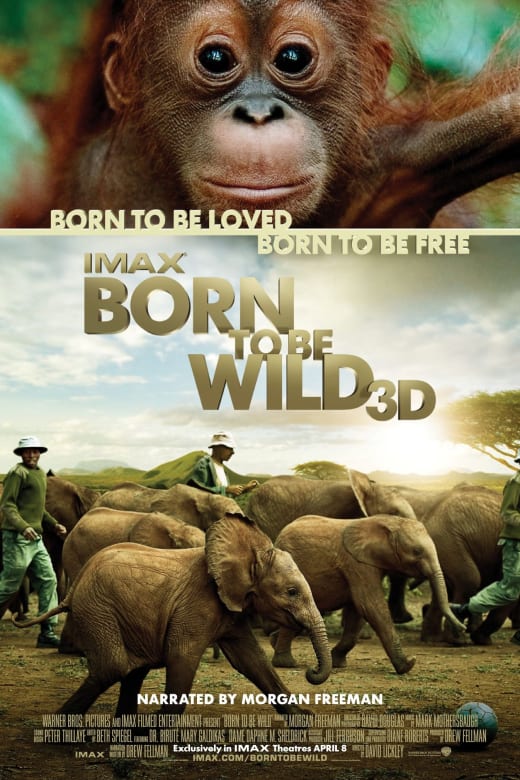 Born To Be Wild IMAX 3D poster