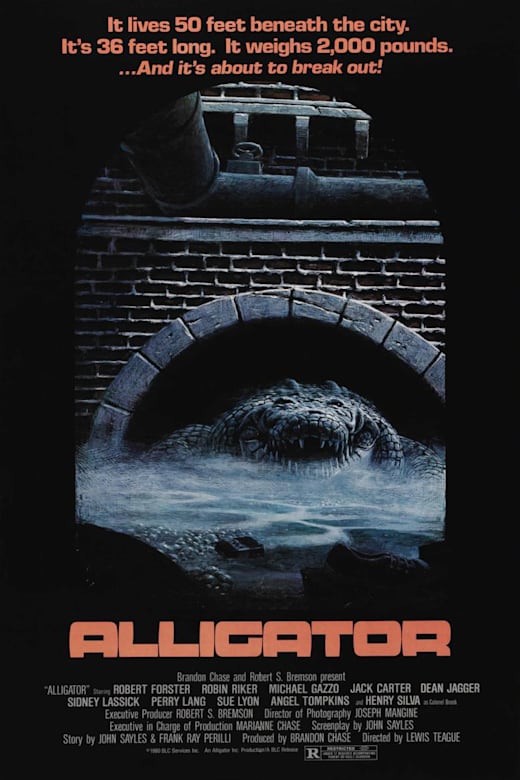 Alligator Poster
