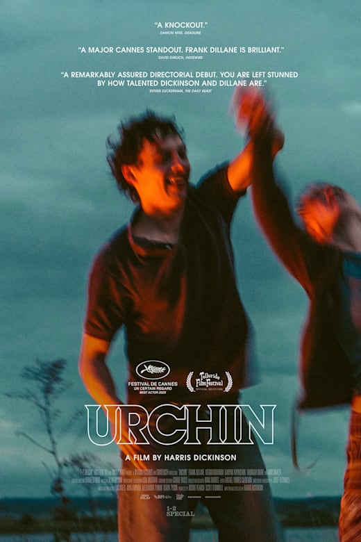 Urchin poster