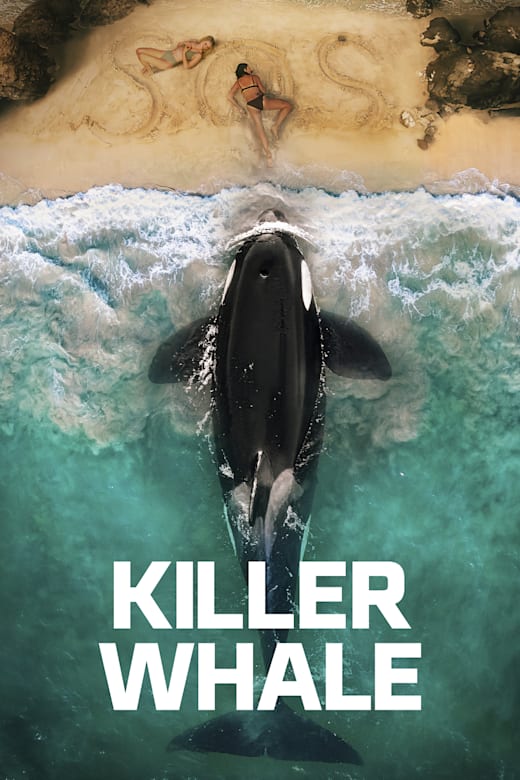Killer Whale Poster