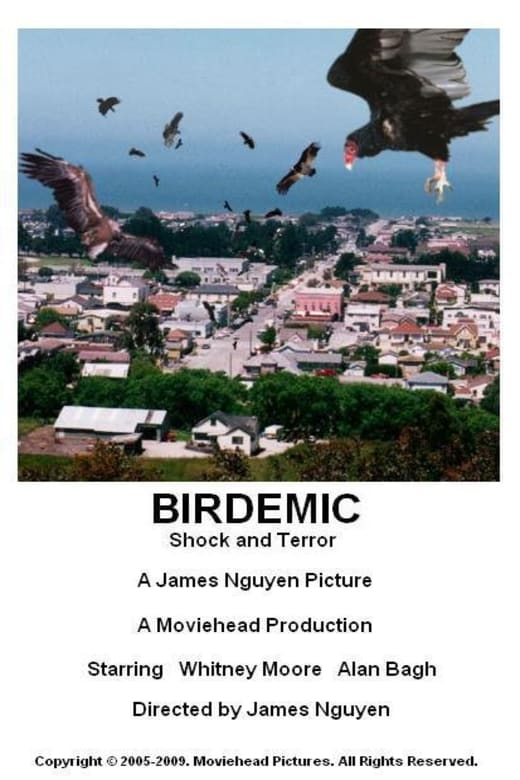 Birdemic: Shock and Terror Poster