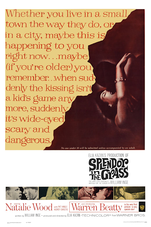 Splendor in the Grass (1961) Poster