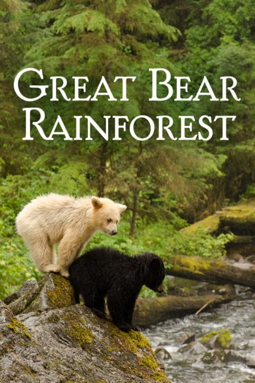 Great Bear Rainforest (2019-II) poster