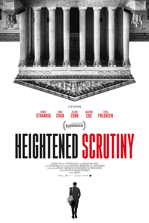 Heightened Scrutiny Poster