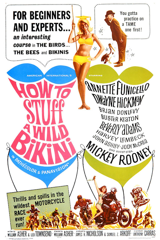 How to Stuff A Wild Bikini poster