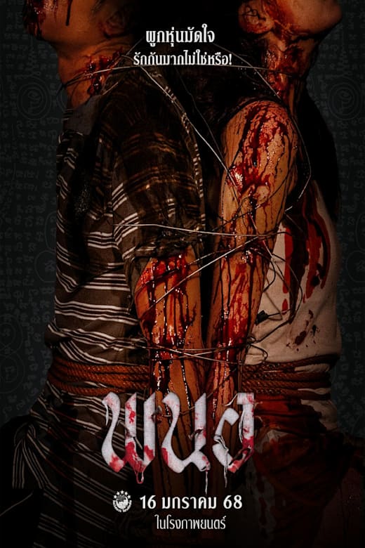 Panor Poster