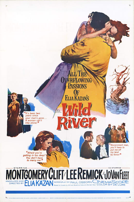 Wild River poster
