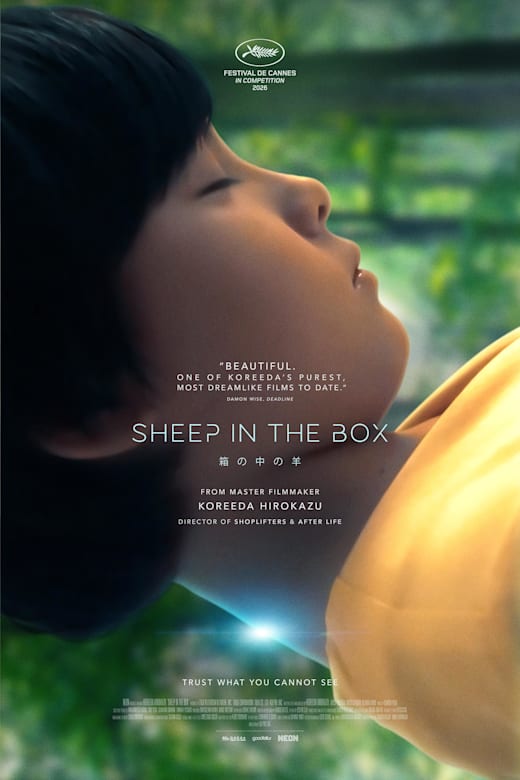 Sheep In The Box Poster