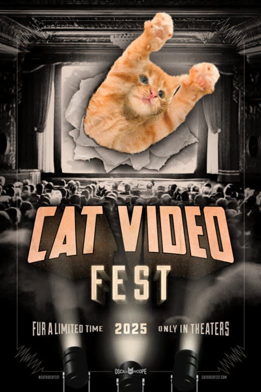 CatVideoFest 2025 Poster